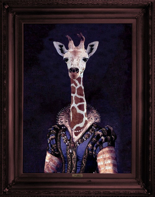 Bild Giraffe Portrait
