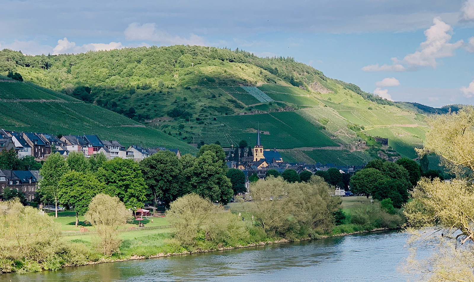 Zeltingen-Rachtig und die Mosel